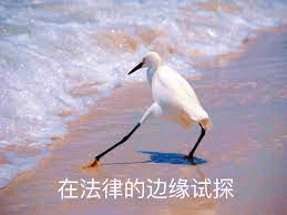 卖虚拟资料赚钱?小心违法!