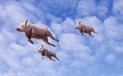 小白如何在最短时间内搭上红利的快车,实现快速致富?