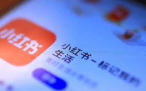 2024一定要做小红书，立刻，马上！