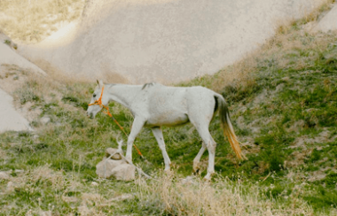 一个项目已经有很多人在做了,我还有机会吗?