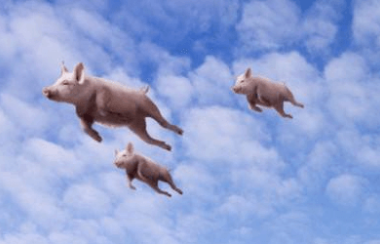 小白如何在最短时间内搭上红利的快车，实现快速致富？