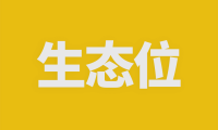 赚钱之前，先找到你的生态位