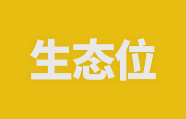 赚钱之前，先找到你的生态位