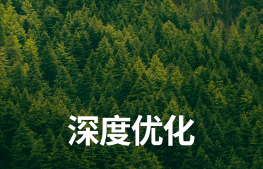 深度优化 | 新项目每日复盘总结-第5天