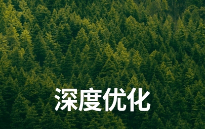 深度优化 | 新项目每日复盘总结-第5天