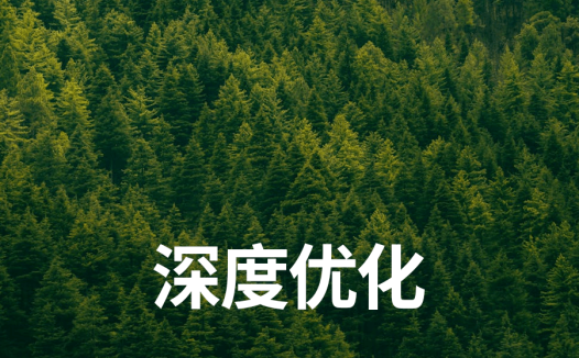 深度优化 | 新项目每日复盘总结-第5天