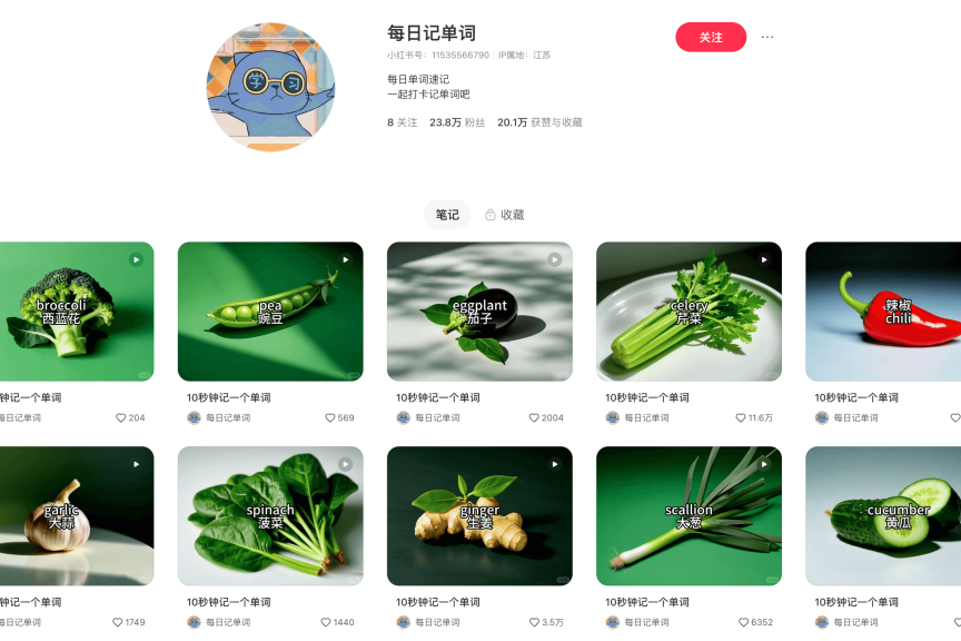 20多个视频，涨粉23.8万，这个小红书账号惊到我了