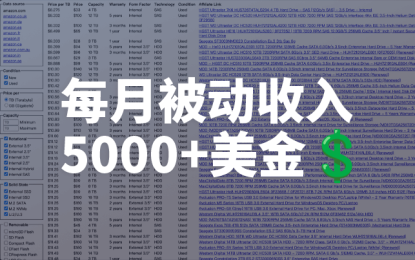 一个极简的表格网站每月赚5000+美金，人人可做的极简副业